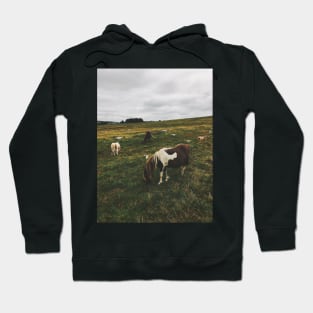 Wild Ponies in England Hoodie